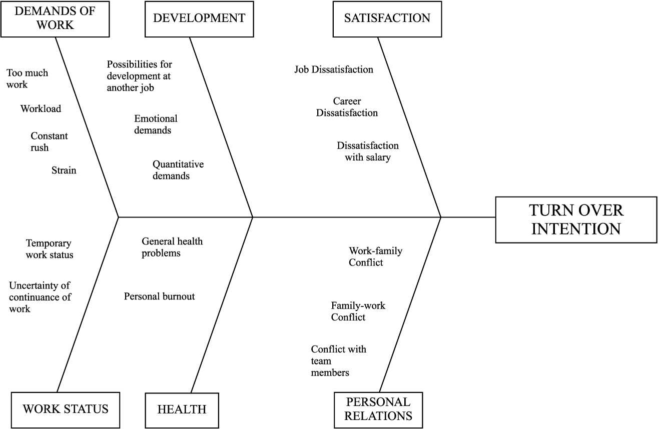 Fishbone Diagram HealthCare