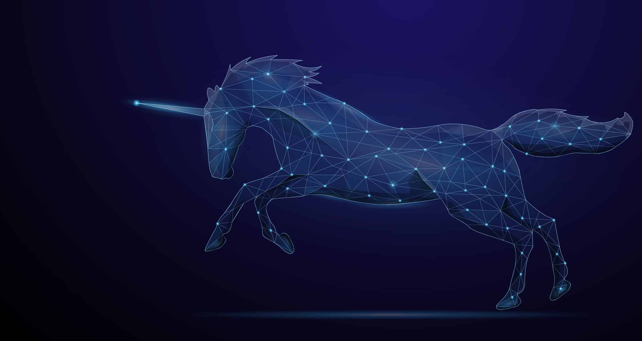 Stripe second most valuable unicorn globally at 95 billion